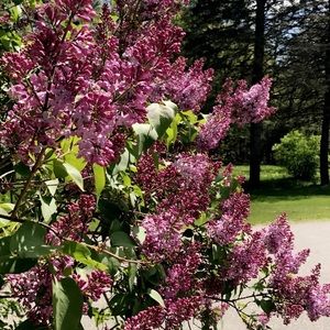 Meet your Posher, Kendra